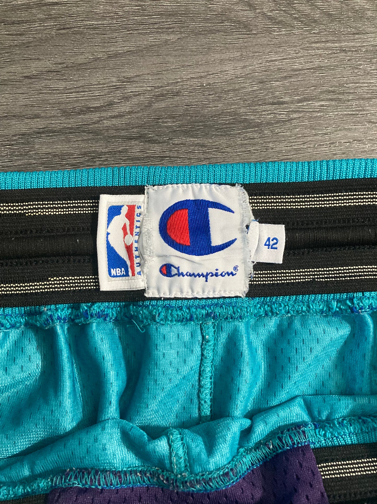 Champion Charlotte Hornets Shorts